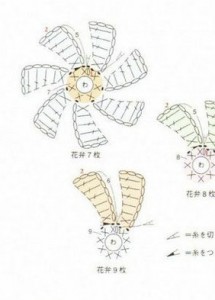 many-petal-flower-diagram-crochet