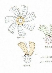 many-petal-flower-diagram-crochet