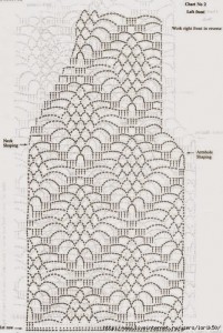 122697974_10628490_374868456037746_9187475869781591233_n