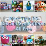 More Than 30 Crochet Owl Patterns All Free http://www.crochetkingdom.com/