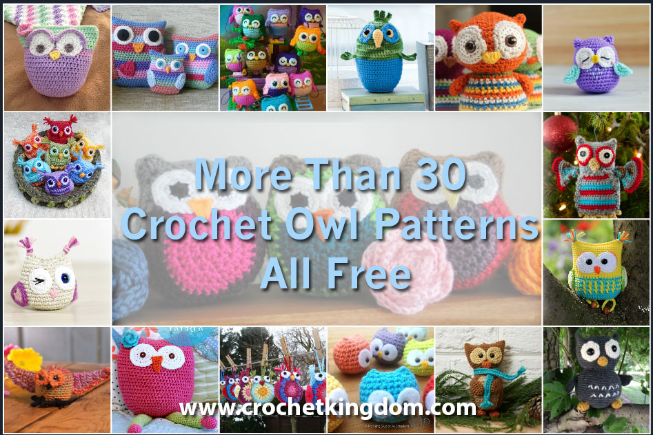 More Than 30 Crochet Owl Patterns All Free