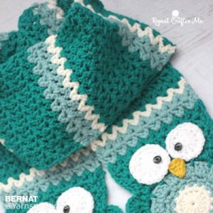 Bernat Owl Crochet Super Scarf Free Pattern