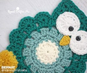 Bernat Owl Crochet Super Scarf Free Pattern