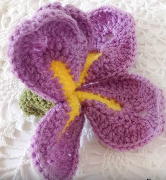 Free Video Tutorial for a Dutch Iris Orchid Crochet Flower