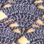 Big Fans Crochet Stitch