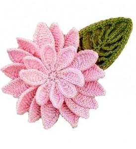 Beautiful pink flower with many petals