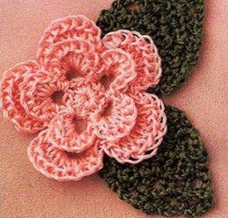 Little pink flower with green petals