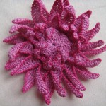 Colorful Crochet Flowers + Free Pattern Step By Step