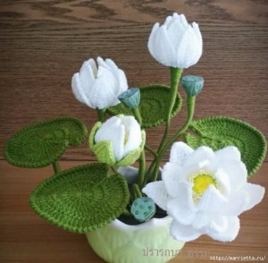 Water Lily Crochet Pattern