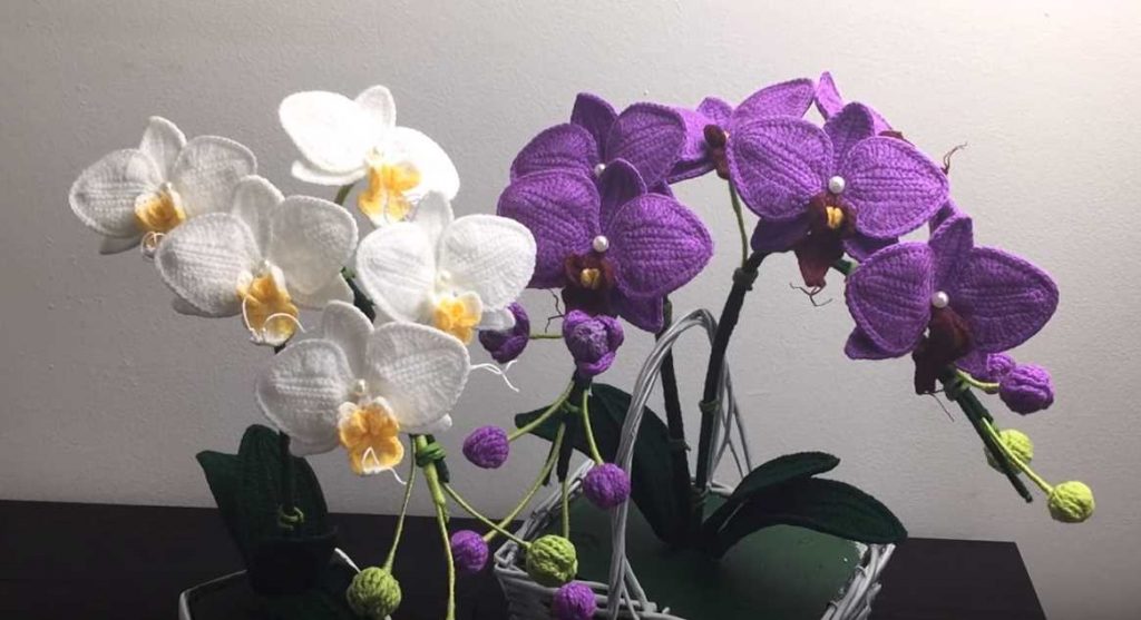 Free Video Tutorial for a Crochet Flower Moth Orchid ⋆ Crochet Kingdom