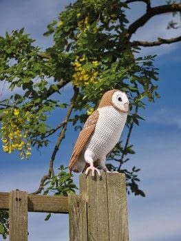 Free crochet pattern for a barn owl
