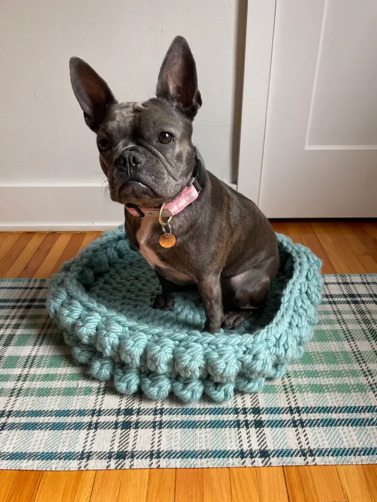 Free Crochet Pattern for a Round Pet Bed