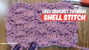 Easy Crochet Shell Stitch Video Tutorial