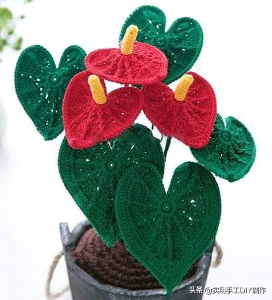 Anthurium Flower Crochet Pattern Free
