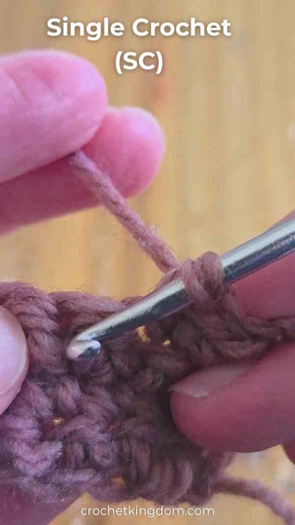 How to Single Crochet Stitch (Foundation)